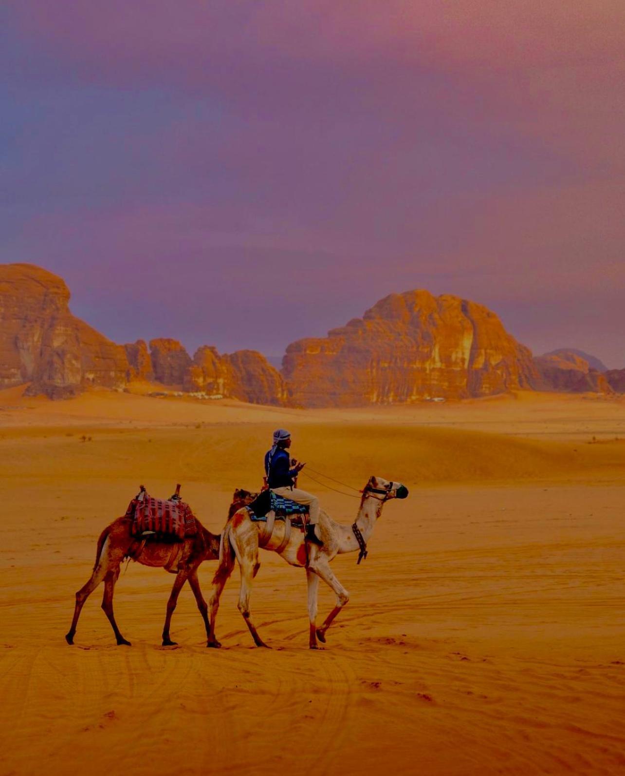 Hidden Wadi Rum Camp Екстериор снимка