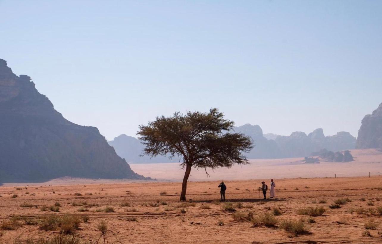 Hidden Wadi Rum Camp Екстериор снимка